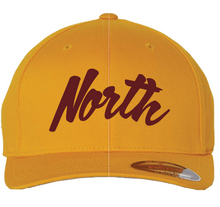 Load image into Gallery viewer, WESTERVILLE NORTH SCRIPT HAT
