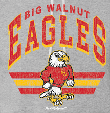 Load image into Gallery viewer, BIG WALNUT EAGLES GRAY HOODIE
