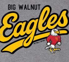Load image into Gallery viewer, SCRIPT EAGLES GREY CREW SWEATSHIRT
