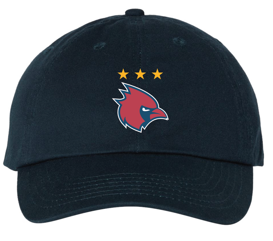 NAVY STAR CARDINAL DAD HAT